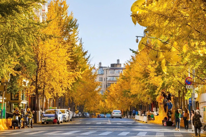 Phố Văn Lâm - Côn Minh - Du lịch Hà Khẩu - Côn Minh - Núi Tuyết Kiệu Tử 4 ngày Phố Văn Lâm - Côn Minh - Du lịch Hà Khẩu - Côn Minh - Núi Tuyết Kiệu Tử 4 ngày